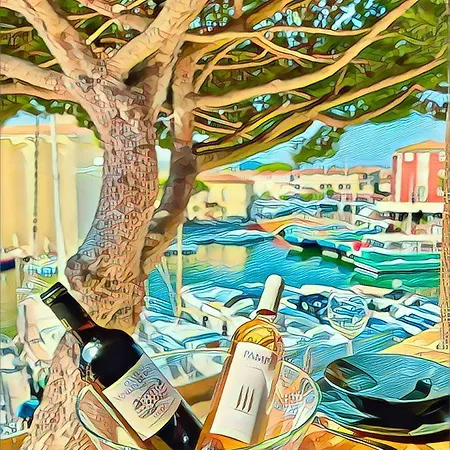 L'octogone Apartment Grimaud